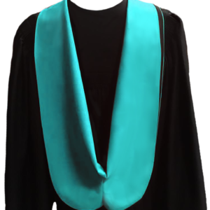 Faculty Robe_ FDMS