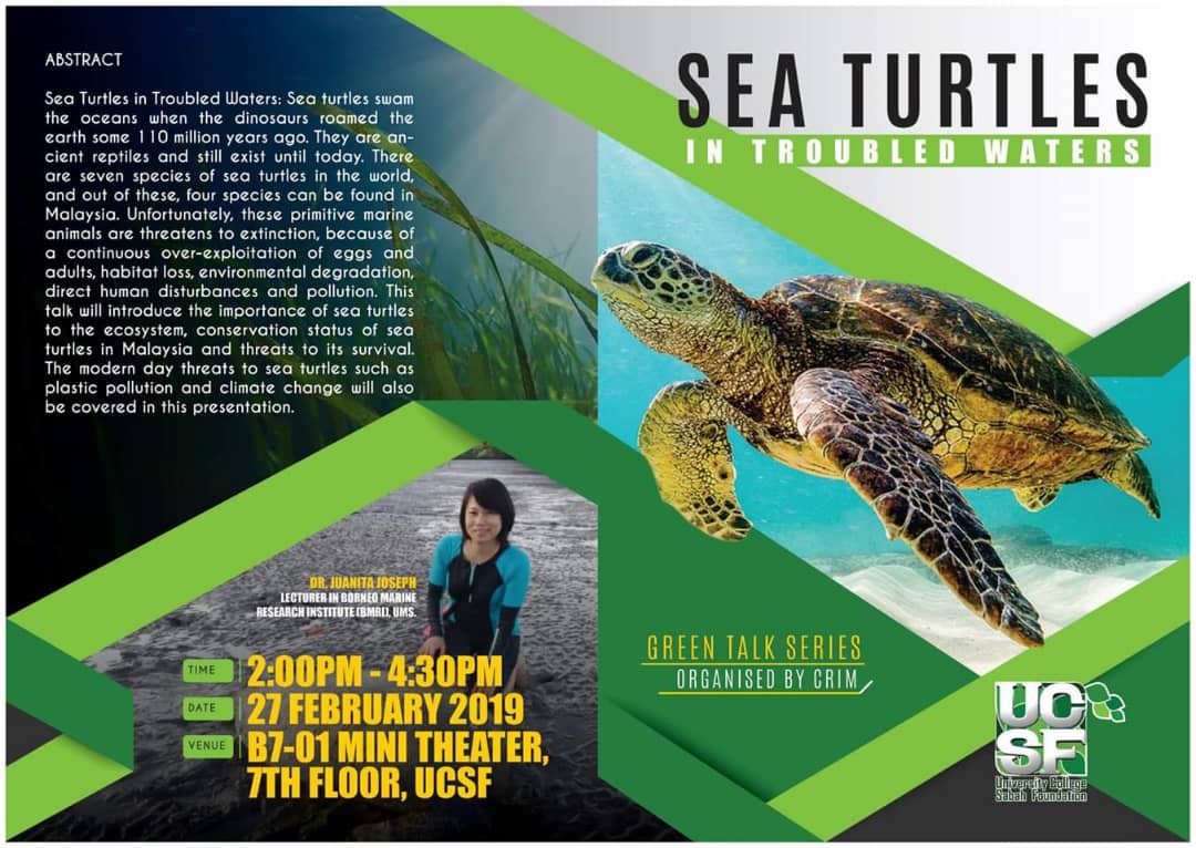 Sea Turtles in Troubled Waters - University College Sabah ...