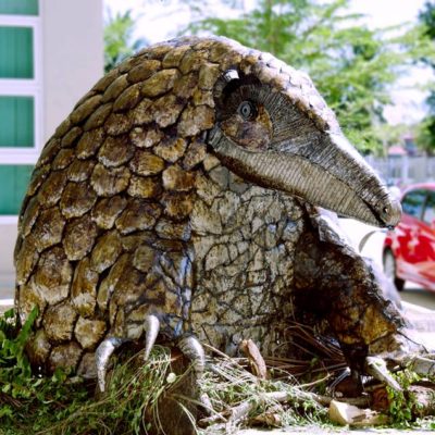 On 5th June 2016, in conjunction with the World Environment Day celebrated annually, Yayasan Sime Darby & UCSF hosted a World Environment Day : “Protect Our Pangolin”.