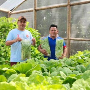 Mr. Amran (project Manager) – First batch of the Hydroponic farming in Sinua (Mukim Lanas), Pensiangan.